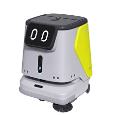 Cleaning Robots