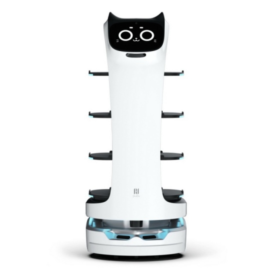 Service Robot 2
