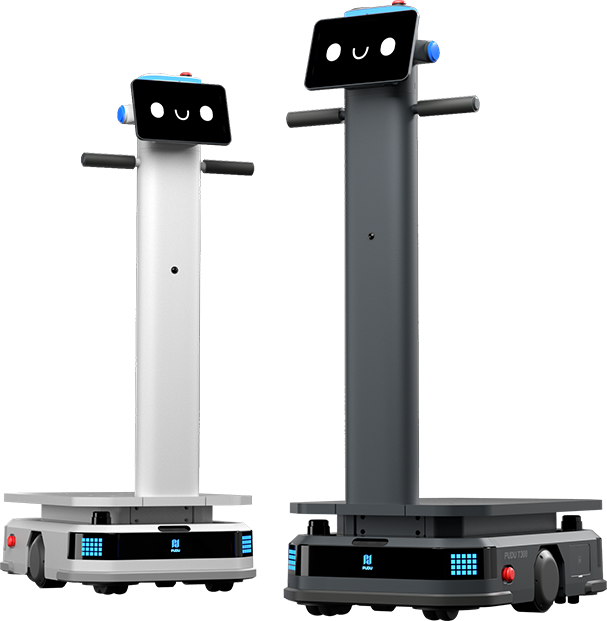 Warehouse Robots